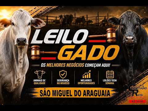 LEILÃO DE SÃO MIGUEL | SÃO MIGUEL DO ARAGUAIA  20/08/2026 | LEILÃO DE GADO AO VIVO