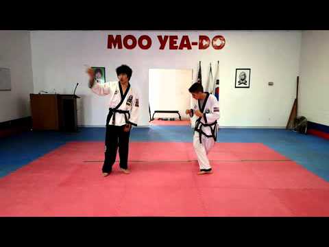 Moo Yea-Do Reverse Roundhouse Kick Tutorial
