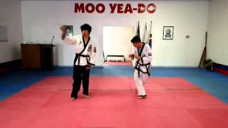 Moo Yea-Do Reverse Roundhouse Kick Tutorial