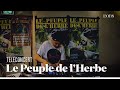 Le Peuple de l'Herbe - "PH Theme" (téléconcert exclusif pour "l'Obs")