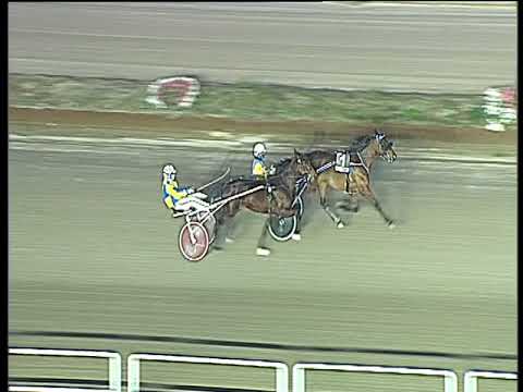 Trotto 11/02/2018 - prova di qualifica