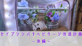 【りんと日記】セイブシシバナヘビケージ改造計画～後編～【vlog】