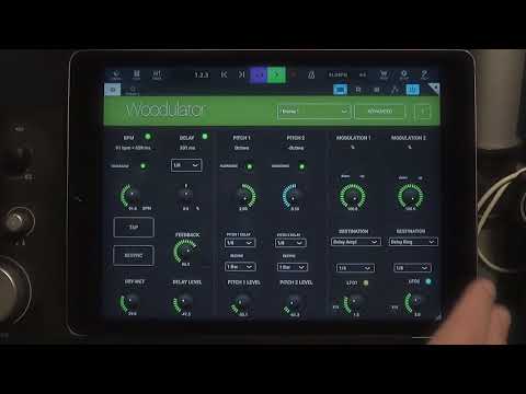 Woodman Woodulator Walkthrough Demo