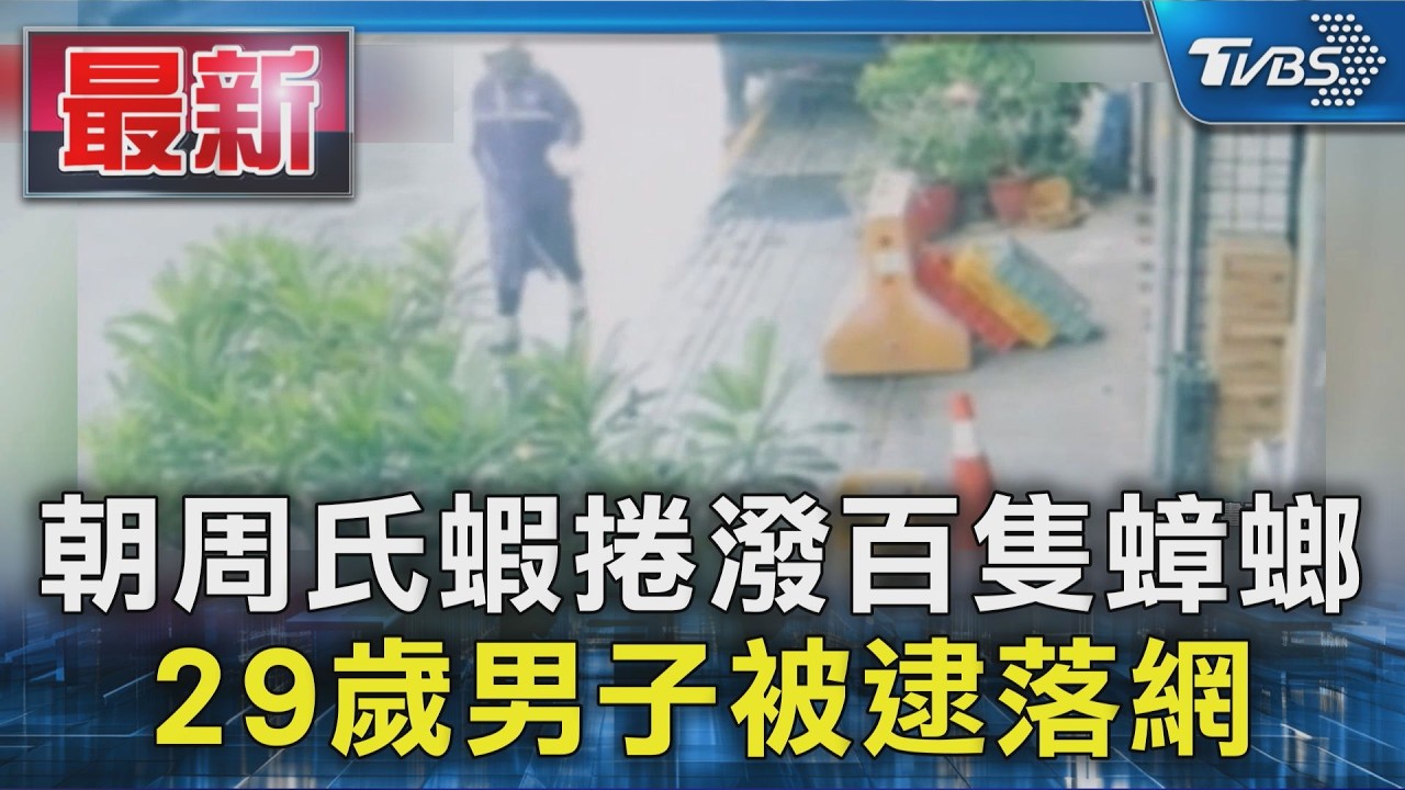 朝周氏蝦捲潑百隻蟑螂 29歲男子被逮落網｜TVBS新聞 @TVBSNEWS01