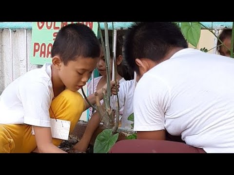 Light ehersisyo upang mangayayat Bilang sa isang linggo upang mawala ang 1 kg