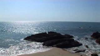 The Gull House: Laguna Beach Cliffside Contemporary Home Tour thumbnail