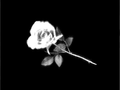 Umineko no Naku Koro ni Chiru EP7 BGM - reflection-call