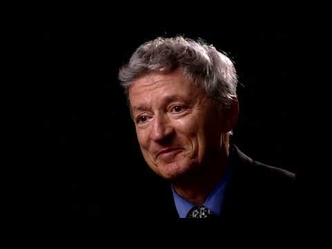 Goethe als Japaner - Manfred Osten