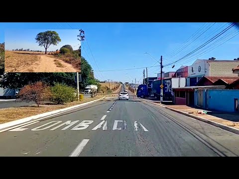 De Sumaré a Monte Mor-SP Imagens de Vastos Campos agrícolas!!!