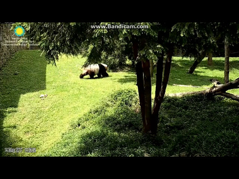 2017.05.14 NO SPECIAL GIFT FOR MOM MEI ON MOTHER'S DAY?