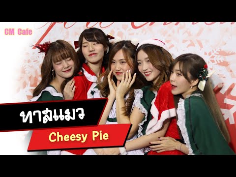 [FanCam] ทาสแมว - Cheesy Pie (CM Cafe) 20201205