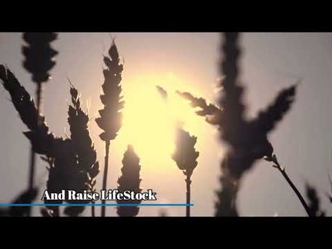 The Pulse of Progress: Technological Advancements | Golden Age