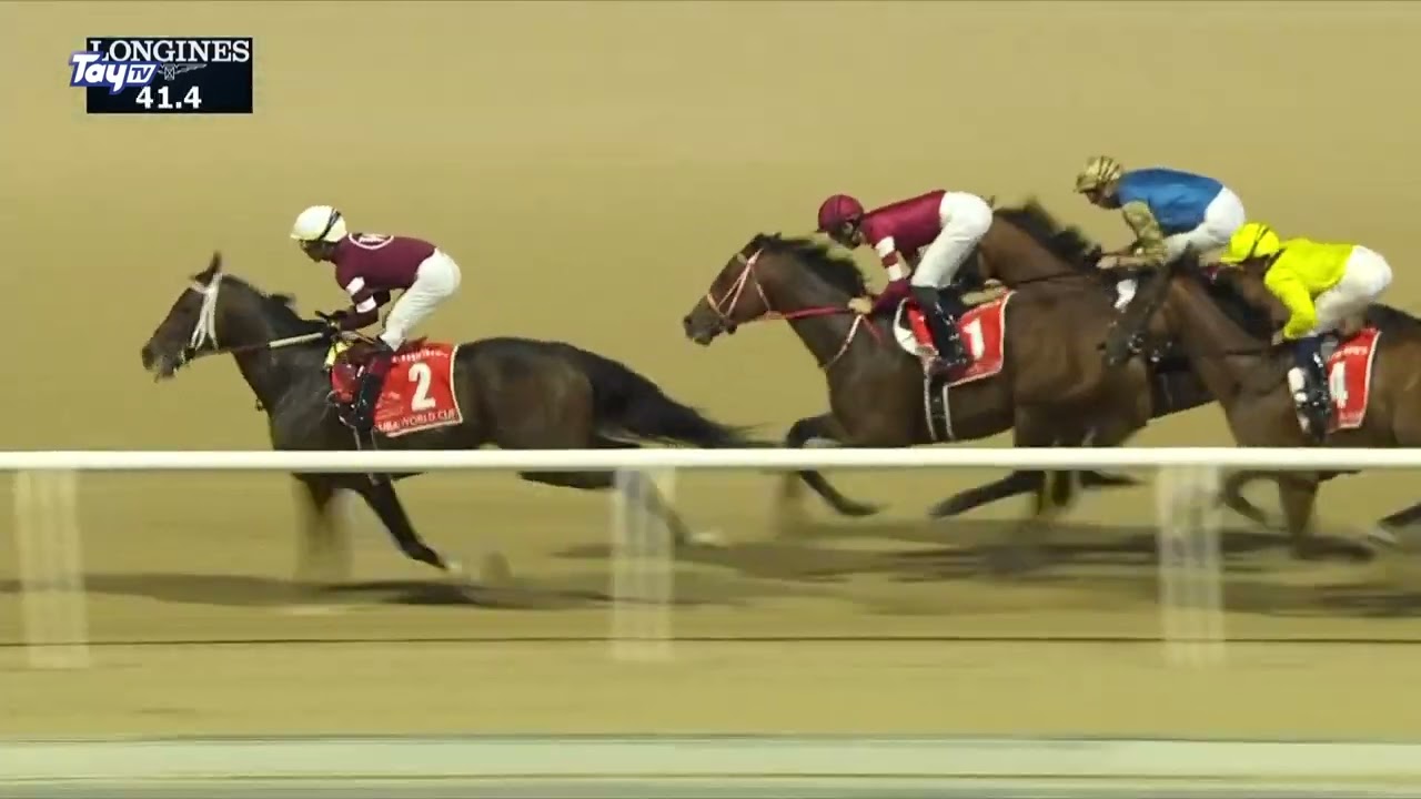 Dubai World Cup 2026 - Magnitude