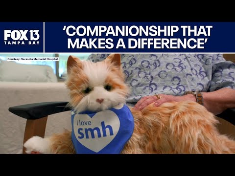 Florida Trend Video Pick - Video