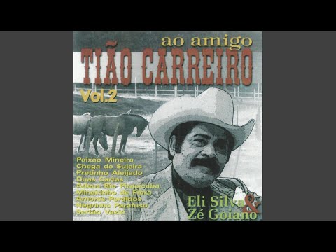 Negrinho Parafuso - Eli Silva e Zé Goiano