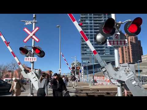 RR crossing idiots