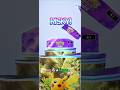 It S Risky Opening 10 Packs In Pokémon TCG Pocket Pokemontcgpocket
