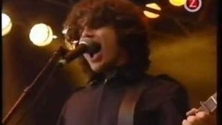 The Wannadies - You and me song (live 2000).mp4