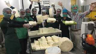 Imran and the cheese factory