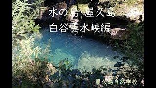 動画「水の島・屋久島　白谷雲水峡編」