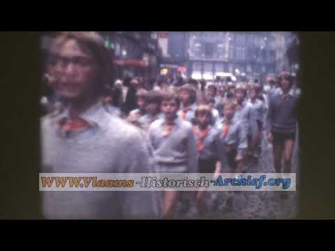 Vlaams Nationaal Jeugdverbond (VNJ) 20 jaar, 1981