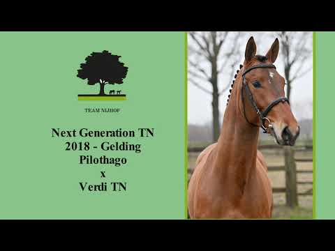 3. Next Generation TN (Pilothago TN x Verdi TN)