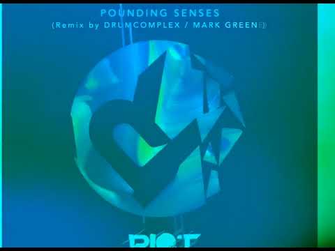 RIOT083 - Roman Weber - Pounding Senses [Riot Recordings]