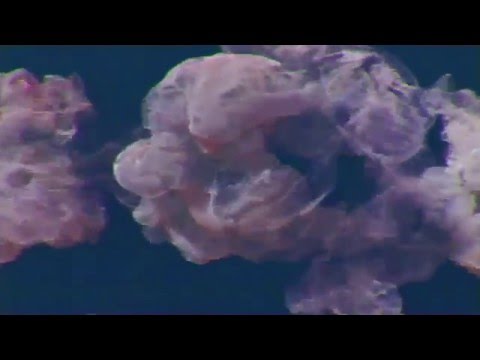 LUKA x KAJMAN - Jest Nasz (prod. SecretRank) [Mash-up]