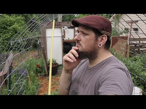 How To Start An Urban Homestead | Where To Begin