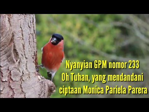 Nyanyian GPM 233 _ Oh Tuhan Yang Mendandani
