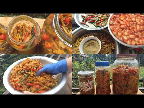 COMO FAZER PICLE DE RADICHE | हुन्छ | PICLE FERMENTADO