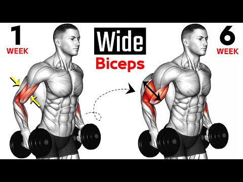 8 BEST Exercises for WIDER BICEPS