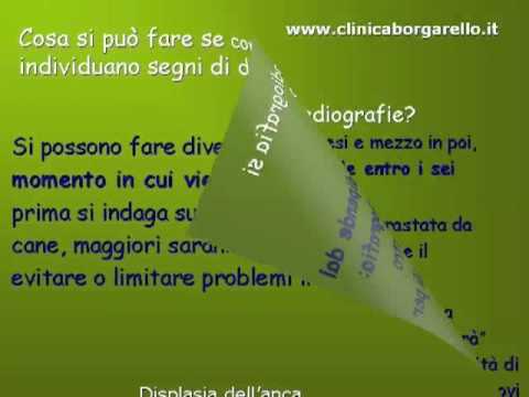 Dolore alla schiena e spasmi dei muscoli della schiena Se giunti corrispondono denti a causa