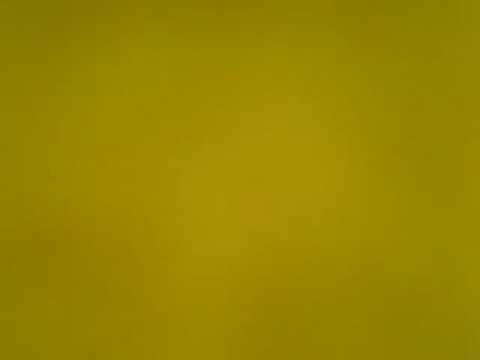 Sergey Kim-russian accent