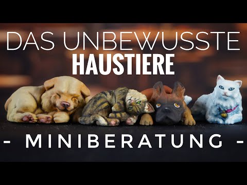 Miniberatung - das Unbewusste: Haustiere