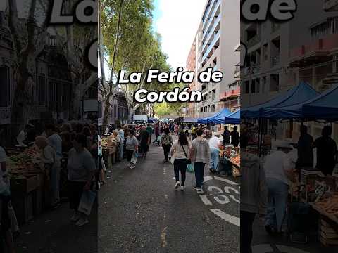 Feria de Cordón, Montevideo, Uruguay. Variedad y Precios.