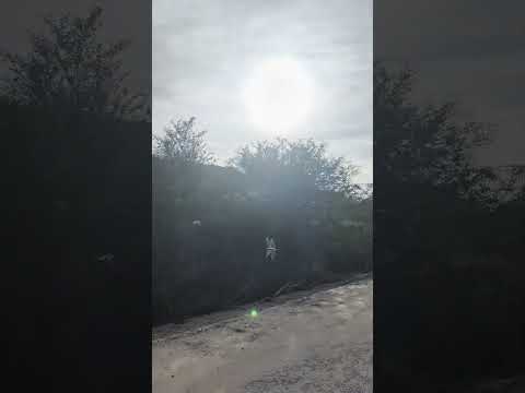 PE160 A CAMINHO DE Jatauba-PE