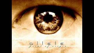 Allele - Unknown