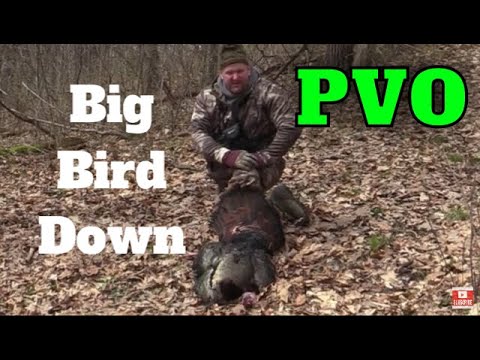 2020 Wisconsin Spring turkey hunting- A COUPLE CLOSE...