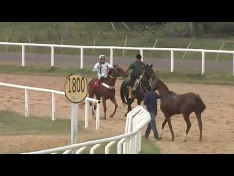 SINT MELO - 230504 c02 1° PODEROSA