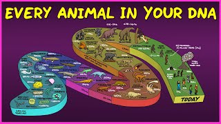 every animal in your dna Video