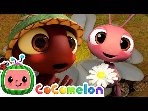 The Ants Go Marching | CoComelon Furry Friends | Animals for Kids