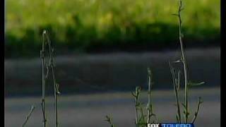 Cop resuscitates fawn