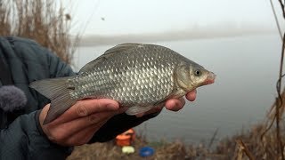 Ловля карася в декабре со льда