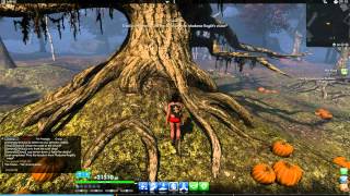 ★ The Secret World ★ - The Visions