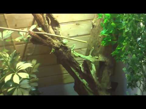 comment construire flexarium