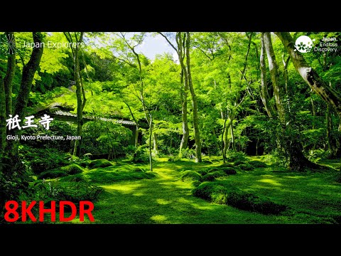 祇王寺 Gioji 8KHDR