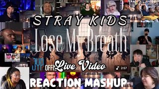 Download lagu Stray Kids 'Lose My Breath (Stray Kids Ver.)' Live Video | REACTION MASHUP mp3 Download lagu Stray Kids 'Lose My Breath (Stray Kids Ver.)' Live Video | REACTION MASHUP mp3