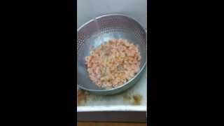 Posh sushi and grill alimentos contaminados!!!