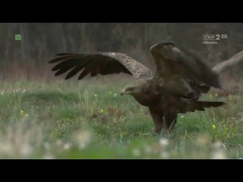 Natura się o(d)płaca - Gmina Zarszyn